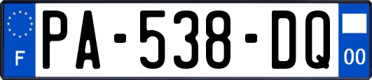 PA-538-DQ