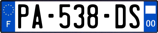 PA-538-DS