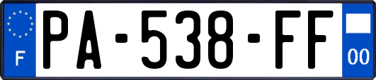 PA-538-FF