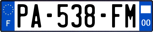 PA-538-FM