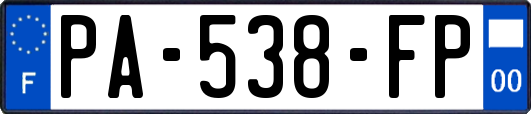 PA-538-FP
