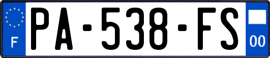 PA-538-FS