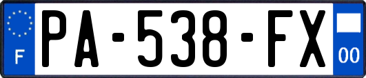 PA-538-FX