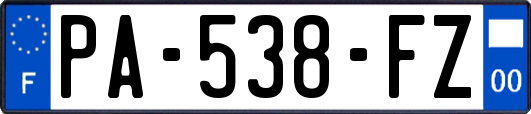 PA-538-FZ