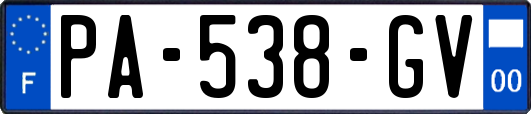 PA-538-GV