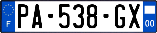 PA-538-GX
