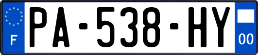 PA-538-HY
