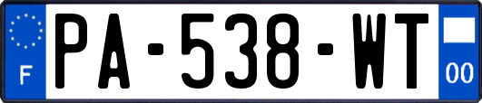 PA-538-WT