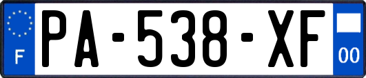 PA-538-XF