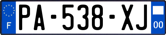 PA-538-XJ