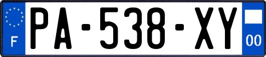 PA-538-XY