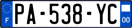 PA-538-YC