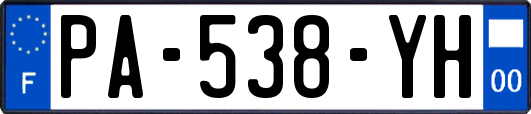 PA-538-YH