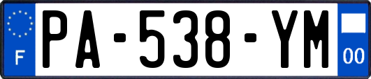 PA-538-YM