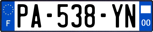 PA-538-YN