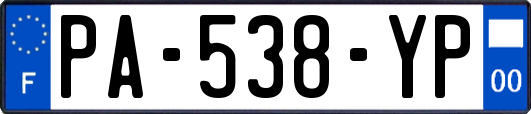 PA-538-YP