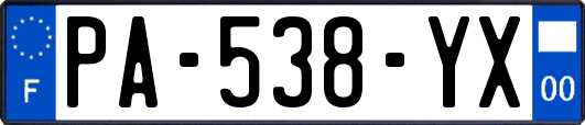 PA-538-YX