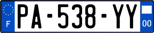 PA-538-YY