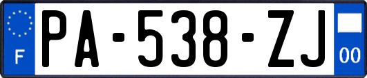 PA-538-ZJ