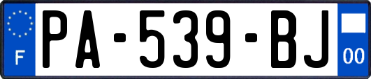 PA-539-BJ