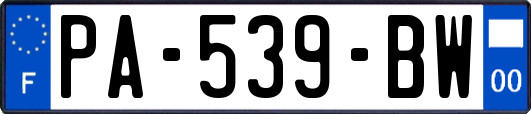 PA-539-BW