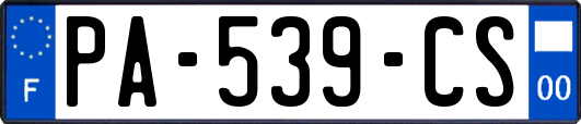 PA-539-CS