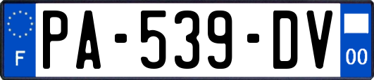 PA-539-DV