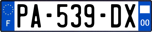 PA-539-DX