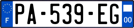 PA-539-EG