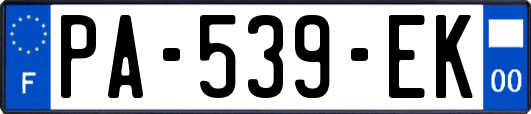 PA-539-EK