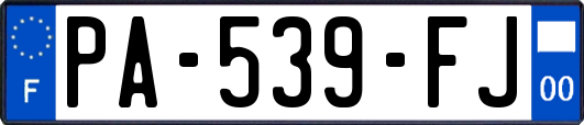PA-539-FJ