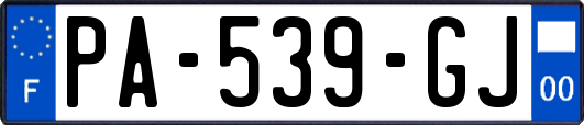 PA-539-GJ