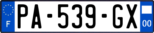 PA-539-GX