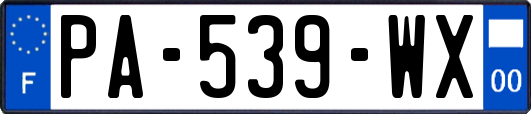 PA-539-WX