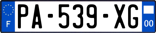 PA-539-XG