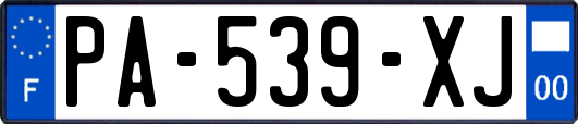 PA-539-XJ