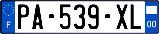 PA-539-XL