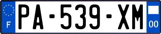 PA-539-XM