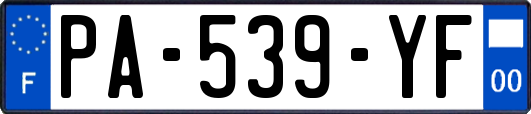 PA-539-YF