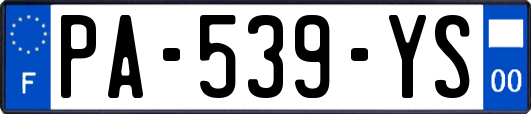 PA-539-YS