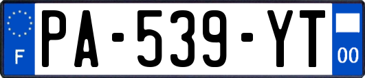 PA-539-YT