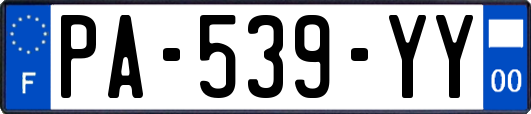 PA-539-YY