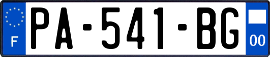PA-541-BG
