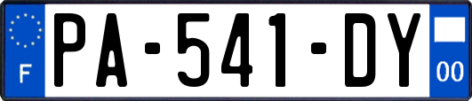 PA-541-DY