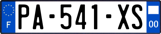 PA-541-XS