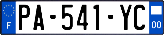 PA-541-YC
