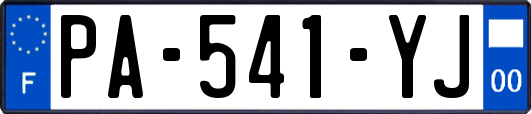PA-541-YJ