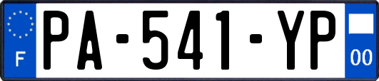 PA-541-YP