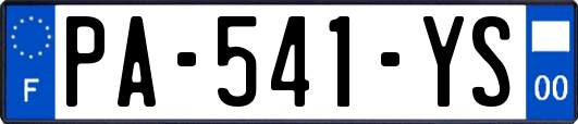 PA-541-YS