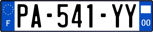 PA-541-YY